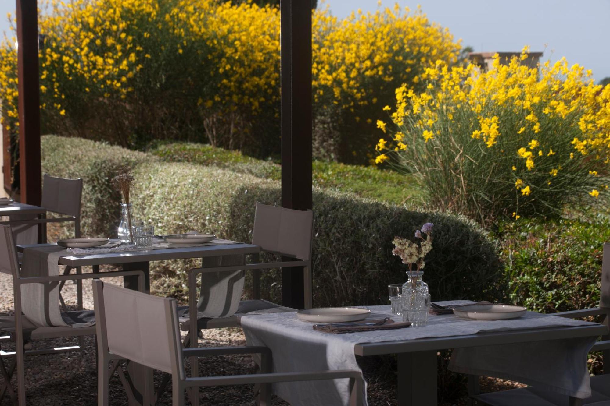 Casale Sterpeti Bed and Breakfast Magliano in Toscana Exteriör bild