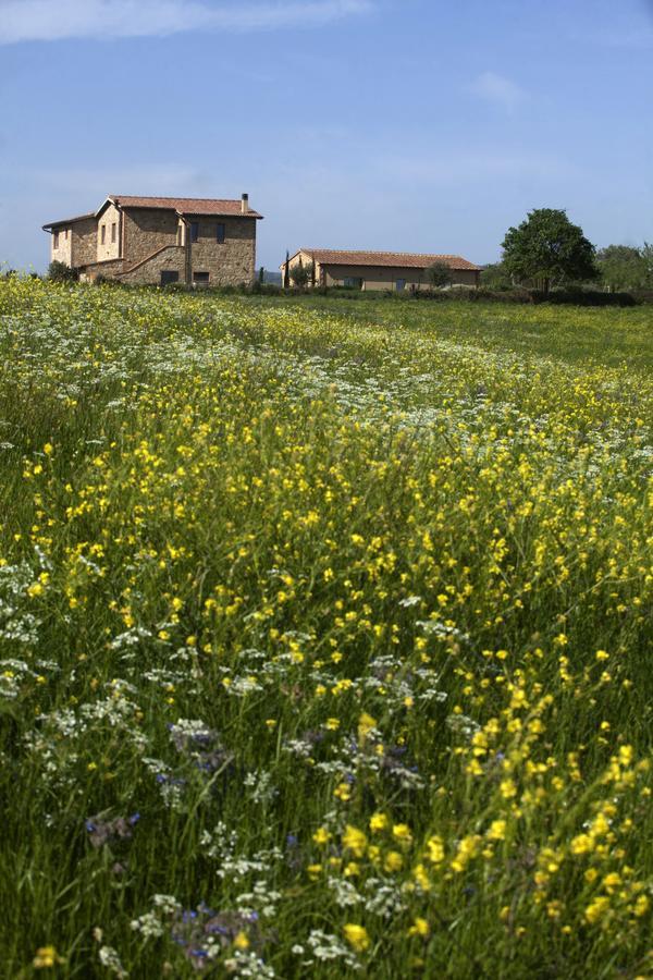 Casale Sterpeti Bed and Breakfast Magliano in Toscana Exteriör bild