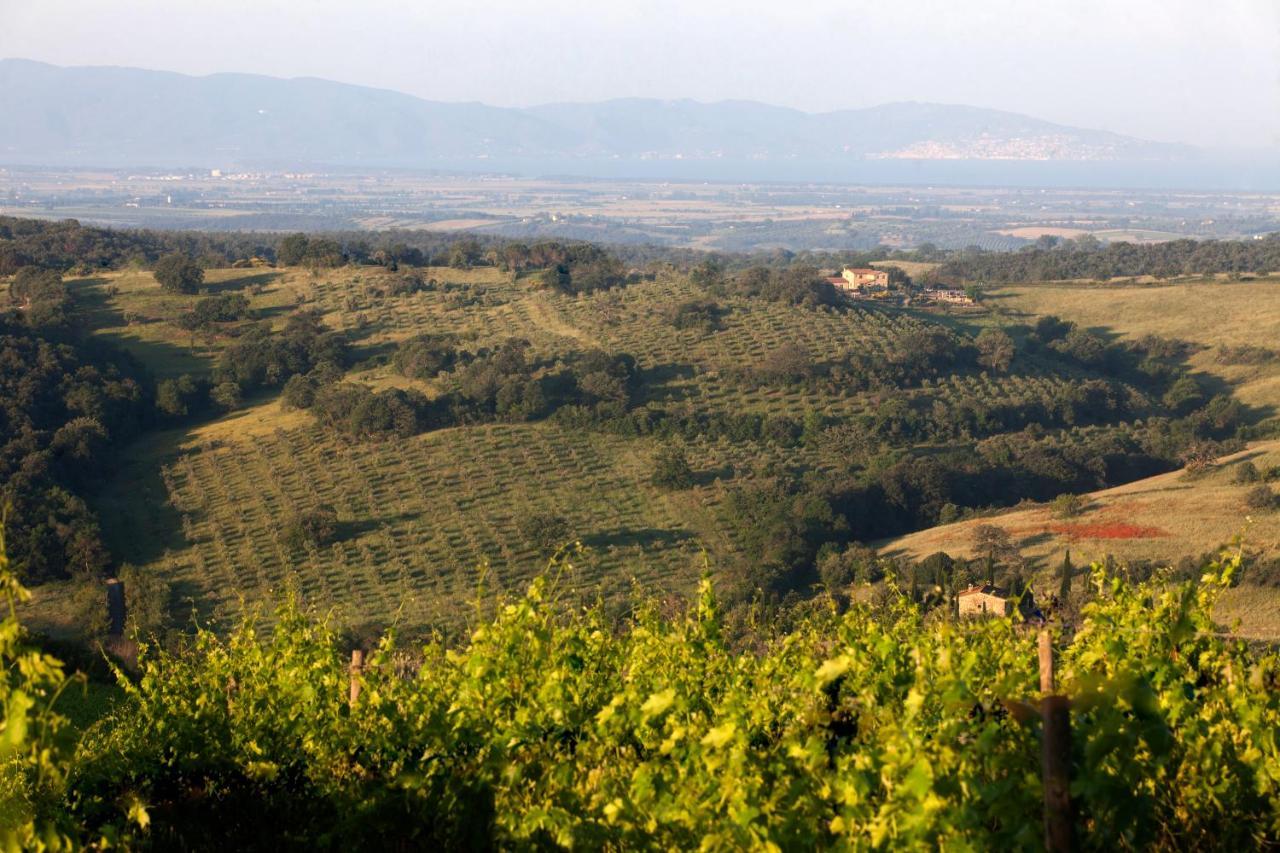 Casale Sterpeti Bed and Breakfast Magliano in Toscana Exteriör bild